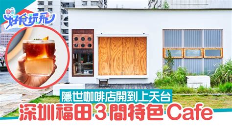 八卦嶺|深圳福田Cafe｜咖啡店開到上天台 到3間特色隱世小店 